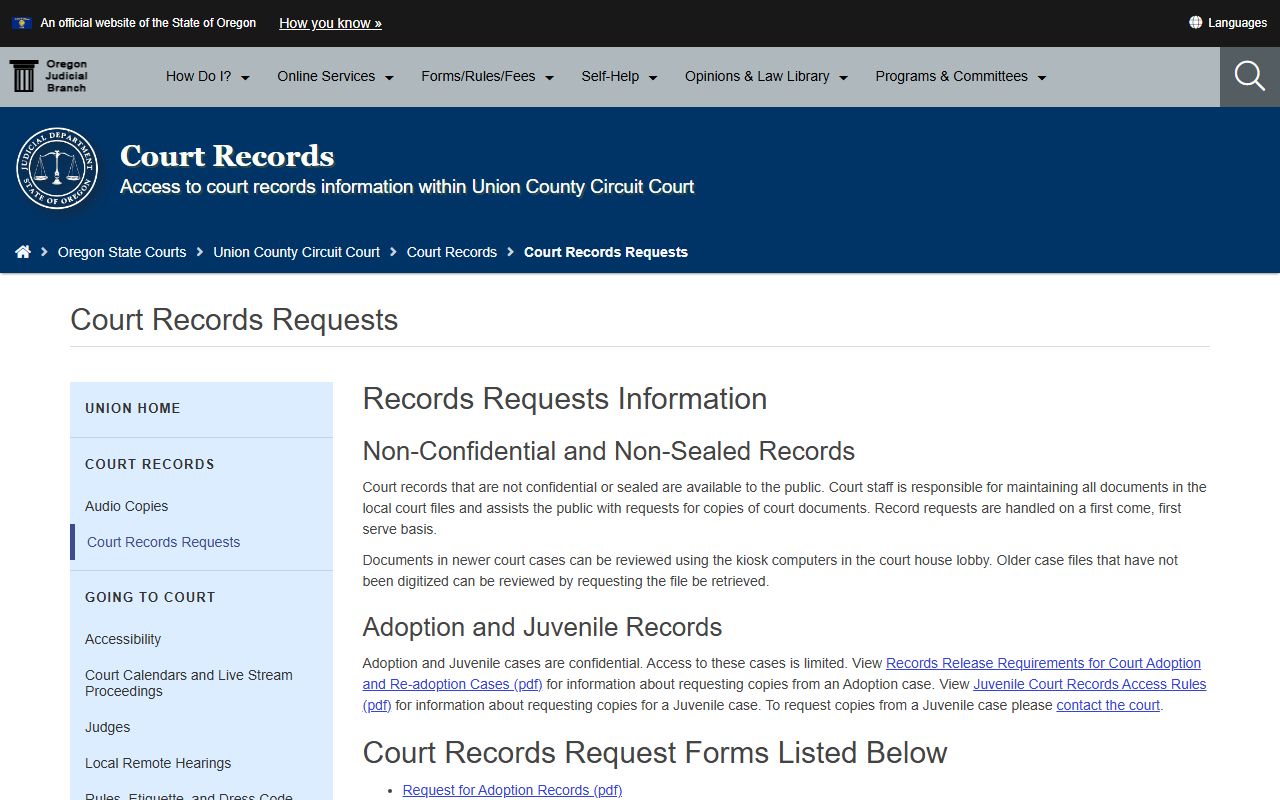 Union County court records request page