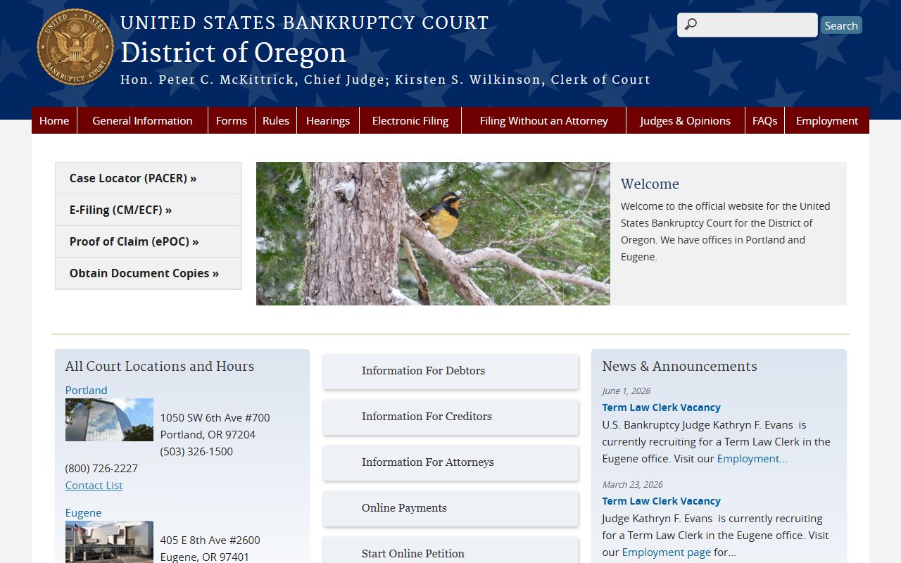 Union County probate records federal bankruptcy distinction